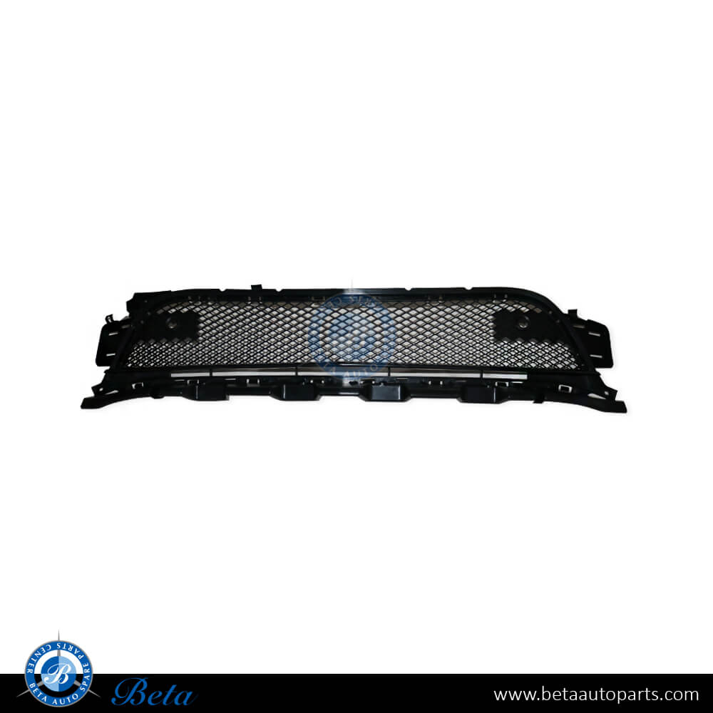 Front Bumper Lower Grille AMG CLA45 for Mercedes CLA-Class C117 2013-2016 models, Part Number 1178852122 Front Bumper Lower Grille AMG CLA45 for Mercedes CLA-Class C117 2013-2016 models, Part Number 1178852122